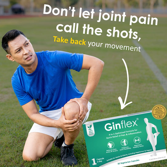 Ginflex® Natural Joint Relief & Anti-Inflammatory – 30 Capsules